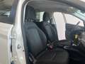 Fiat Tipo 1.6 Mjt S&S DCT 5 porte Easy Business Automatica Bianco - thumbnail 9