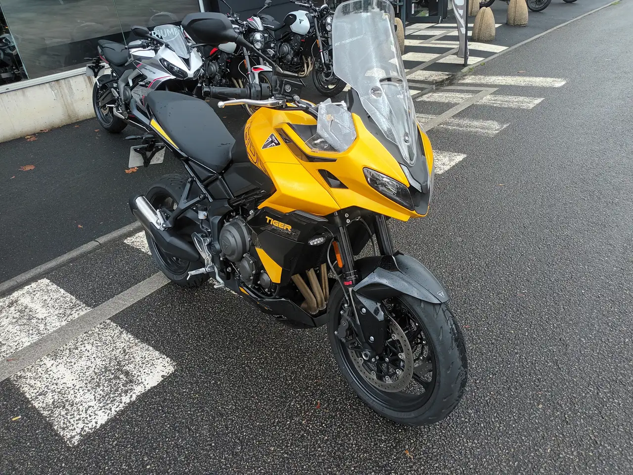 Triumph Tiger Sport