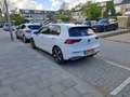 Volkswagen Golf GTE 1.4 eHybrid PANO IQ Light MATRIX extra set banden Alb - thumbnail 4