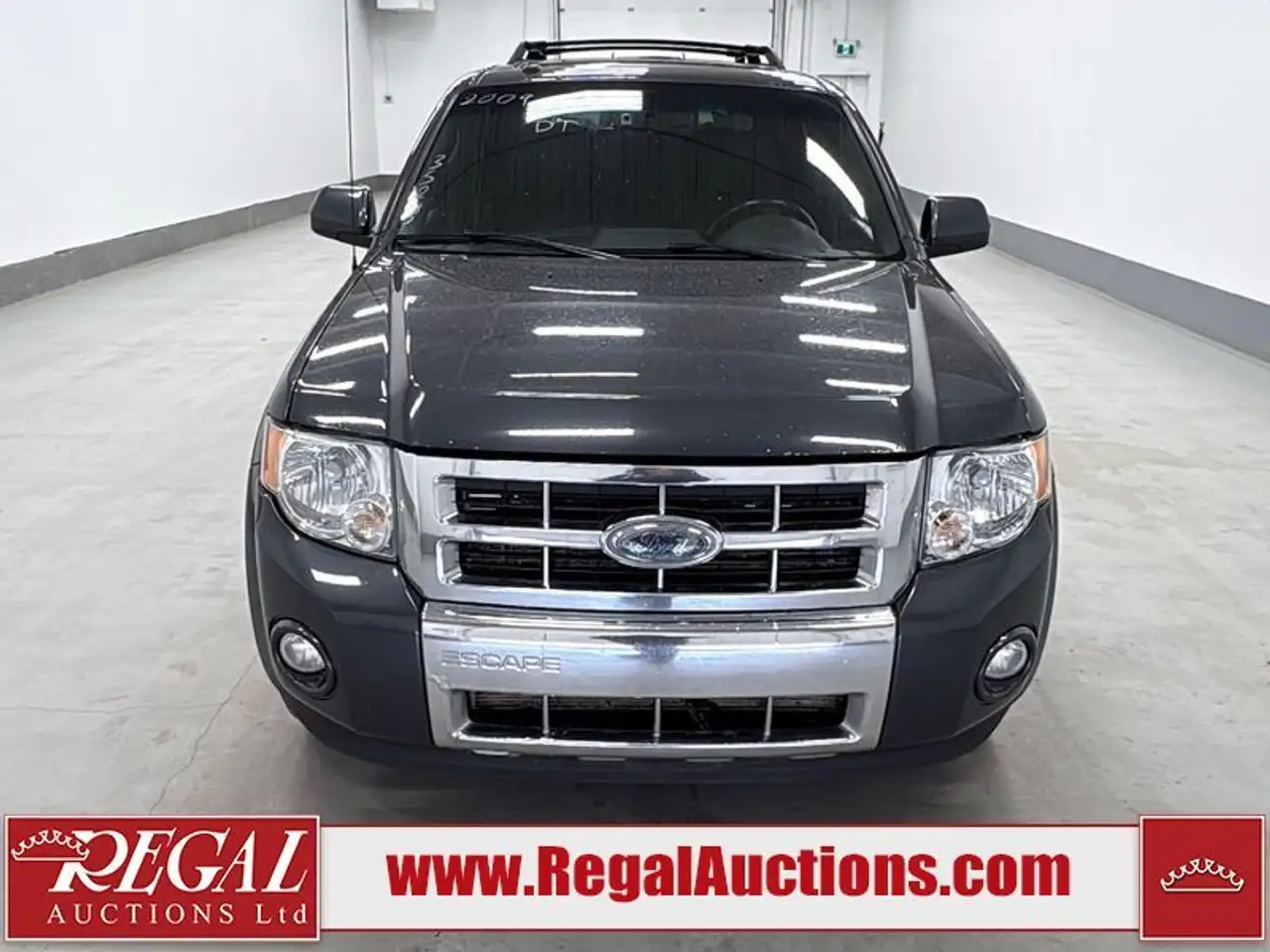 Ford Escape снимка Ford Escape