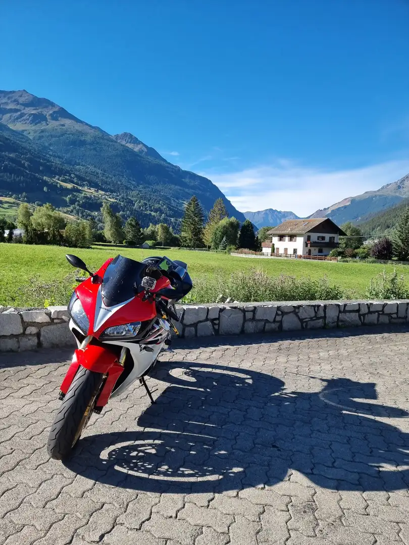 Honda CBR 1000 fireblade Rosso - 2