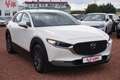 Mazda CX-30 2.0 SKYACTIV-G M Hybrid LED Navi AHK 360° Blanc - thumbnail 7