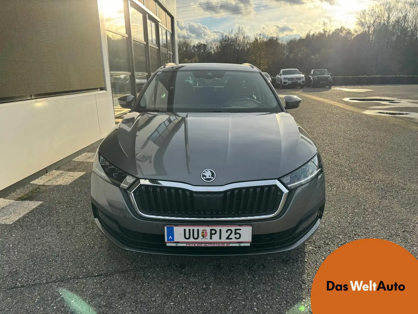 Skoda Octavia Ambition TSI Grau - 1