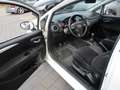 Fiat Punto FIAT Weiß - thumbnail 5