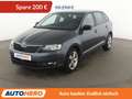 Skoda Rapid/Spaceback 1.2 TSI Emotion Plus*XENON*PDC*SHZ*PANO*KLIMA* Grau - thumbnail 1