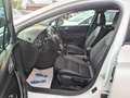 Opel Astra K ST Business Elegance Start/St TOP AUSSTA Bianco - thumbnail 12