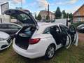 Opel Astra K ST Business Elegance Start/St TOP AUSSTA Bianco - thumbnail 15