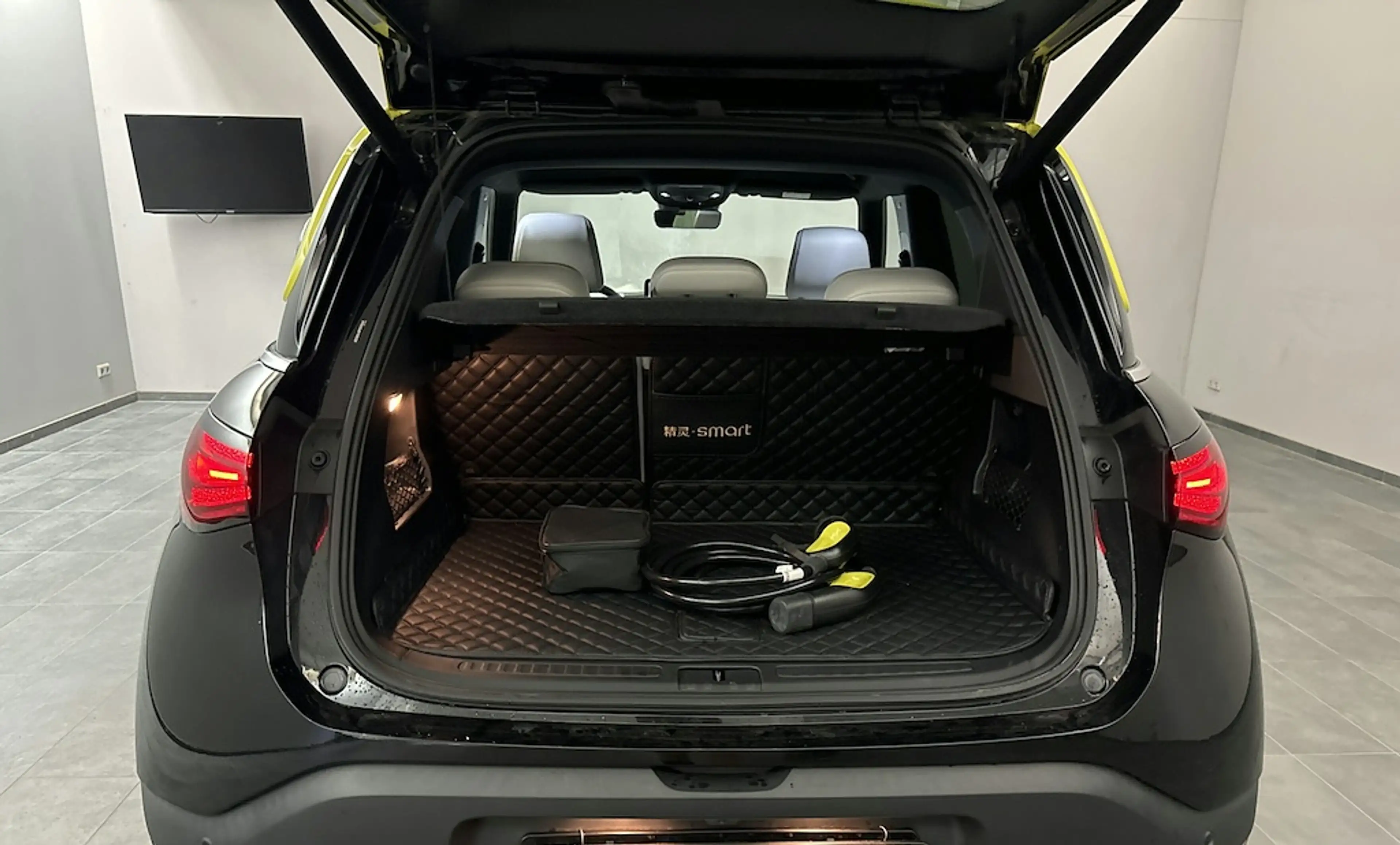 smart #1 Pro+ (66kWh) PANO/360/ACP/SHZ/PDC — photo 8