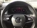 Skoda Kodiaq 2.0 TDI DSG 4x4 Sportline Travel AHK Navi Zwart - thumbnail 14