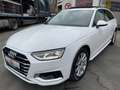 Audi A4 35 TDI advanced S tronic Panorama Kamera PDC Weiß - thumbnail 1