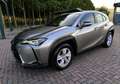 Lexus UX 250h Hybrid Business 2WD FP Argento - thumbnail 5