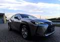 Lexus UX 250h Hybrid Business 2WD FP Argento - thumbnail 6