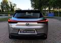 Lexus UX 250h Hybrid Business 2WD FP Argento - thumbnail 11