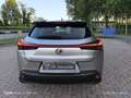 Lexus UX 250h Hybrid Business 2WD FP Argento - thumbnail 10
