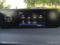 Lexus UX 250h Hybrid Business 2WD FP Argento - thumbnail 15