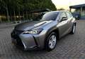 Lexus UX 250h Hybrid Business 2WD FP Argento - thumbnail 1