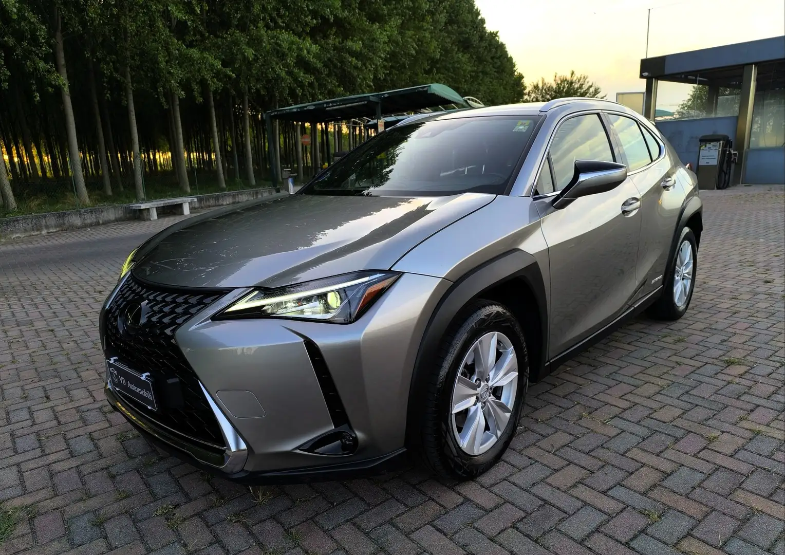 Lexus UX 250h Hybrid Business 2WD FP Argento - 1