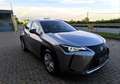 Lexus UX 250h Hybrid Business 2WD FP Argento - thumbnail 4