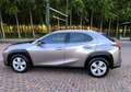 Lexus UX 250h Hybrid Business 2WD FP Argento - thumbnail 14