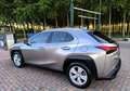 Lexus UX 250h Hybrid Business 2WD FP Argento - thumbnail 13