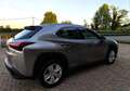 Lexus UX 250h Hybrid Business 2WD FP Argento - thumbnail 8