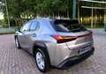 Lexus UX 250h Hybrid Business 2WD FP Argento - thumbnail 12