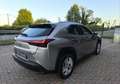 Lexus UX 250h Hybrid Business 2WD FP Argento - thumbnail 9