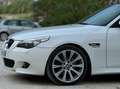 BMW 530 530D cambio automatico White - thumbnail 7