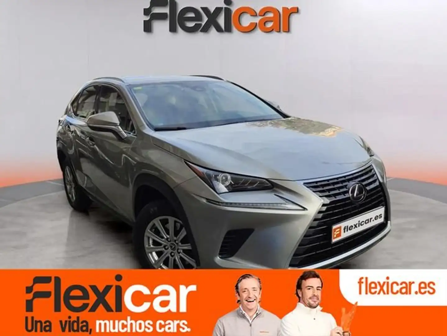 Lexus NX 300 300h Business 2WD Gris - 1