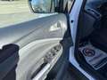 Ford C-Max 1.6 TDCi FAP - 115 Titanium clim + Radar AR Weiß - thumbnail 20