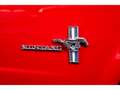 Ford Mustang GT V8 289ci HARD TOP 4.7L 200CV BVM Rot - thumbnail 15