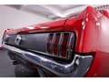 Ford Mustang GT V8 289ci HARD TOP 4.7L 200CV BVM Rot - thumbnail 25