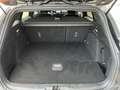 Ford Focus Focus SW 1.5 ecoblue ST-Line 120cv auto Grigio - thumbnail 8