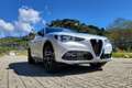 Alfa Romeo Stelvio Stelvio 2.2 Turbodiesel 210 CV AT8 Q4 Competizione Argent - thumbnail 9