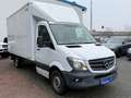 Mercedes-Benz Sprinter Koffer *2. Hand *Automatik *Kamera Weiß - thumbnail 7