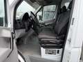 Mercedes-Benz Sprinter Koffer *2. Hand *Automatik *Kamera Weiß - thumbnail 9