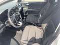 Kia Rio Emotion-Paket , SHZ, LKRHZ Weiß - thumbnail 8