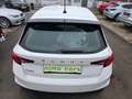 Skoda Fabia Ambition TOP Zustand / Pickerl NEU Weiß - thumbnail 13