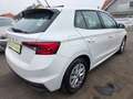 Skoda Fabia Ambition TOP Zustand / Pickerl NEU Weiß - thumbnail 9