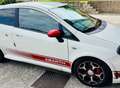 Abarth Punto EVO - danni esterni per grandine White - thumbnail 8