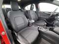 Ford Focus 1.0 ST-Line R-CAM SITZHZG TEMPOMAT PDC Rot - thumbnail 16