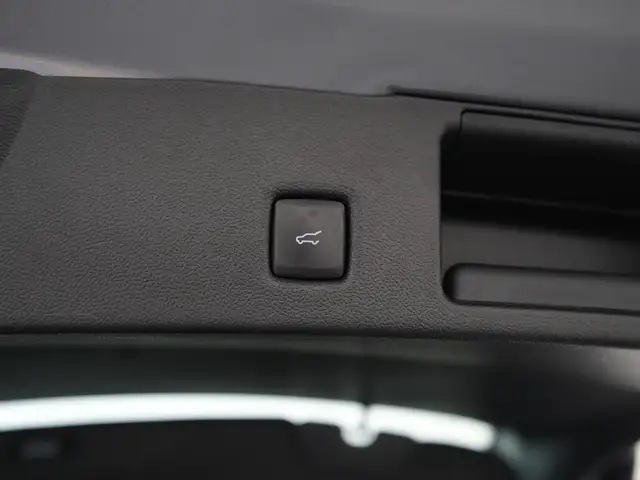 Ford Kuga view 29