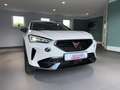 CUPRA Formentor 1.5TSI AHK Navi LED ACC Weiß - thumbnail 11