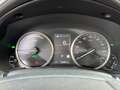 Lexus NX 300 NX Hybrid 4WD Premium Grau - thumbnail 14