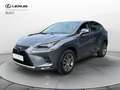 Lexus NX 300 NX Hybrid 4WD Premium Grau - thumbnail 1