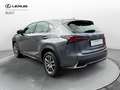 Lexus NX 300 NX Hybrid 4WD Premium Grau - thumbnail 2