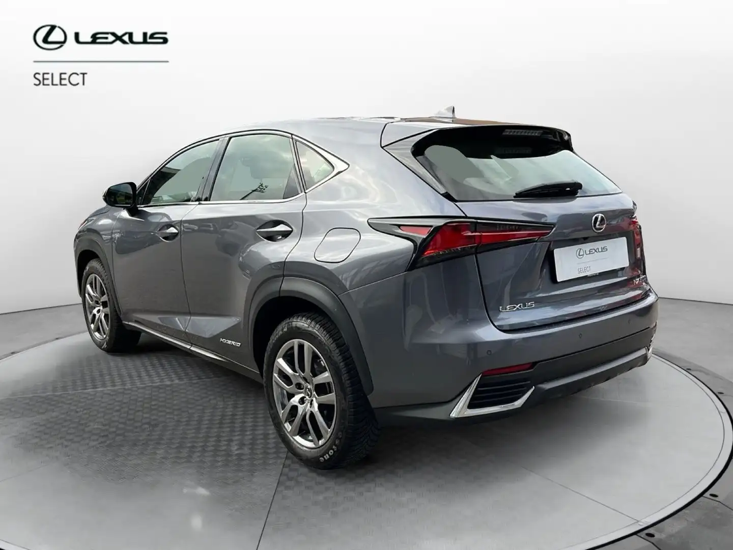 Lexus NX 300 NX Hybrid 4WD Premium Grau - 2