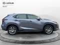 Lexus NX 300 NX Hybrid 4WD Premium Grau - thumbnail 7