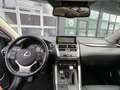 Lexus NX 300 NX Hybrid 4WD Premium Grau - thumbnail 12