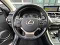 Lexus NX 300 NX Hybrid 4WD Premium Grau - thumbnail 13